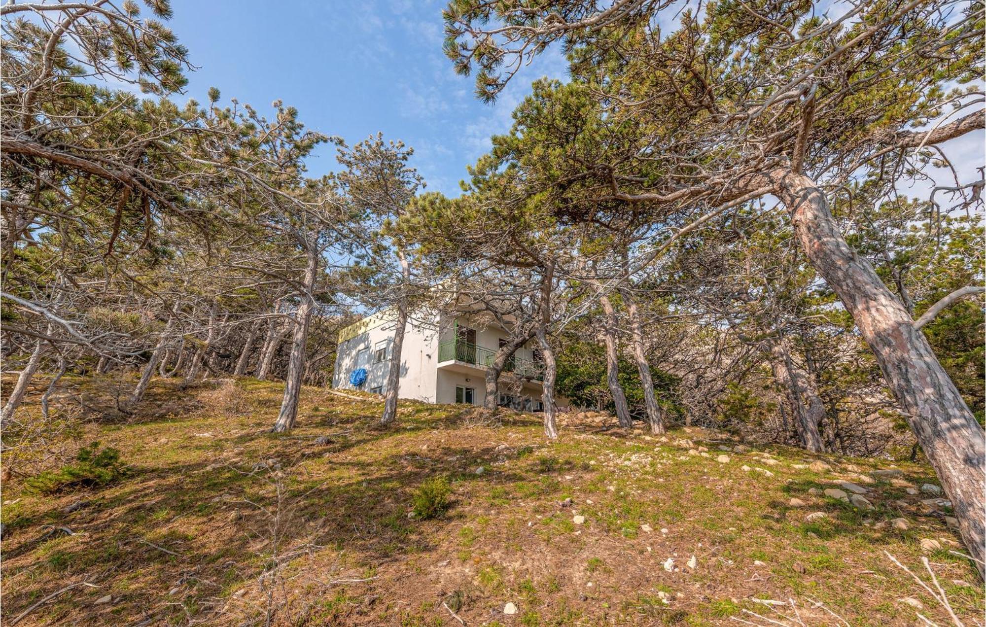 Pet Friendly Apartment In Novalja With Kitchen Exterior foto